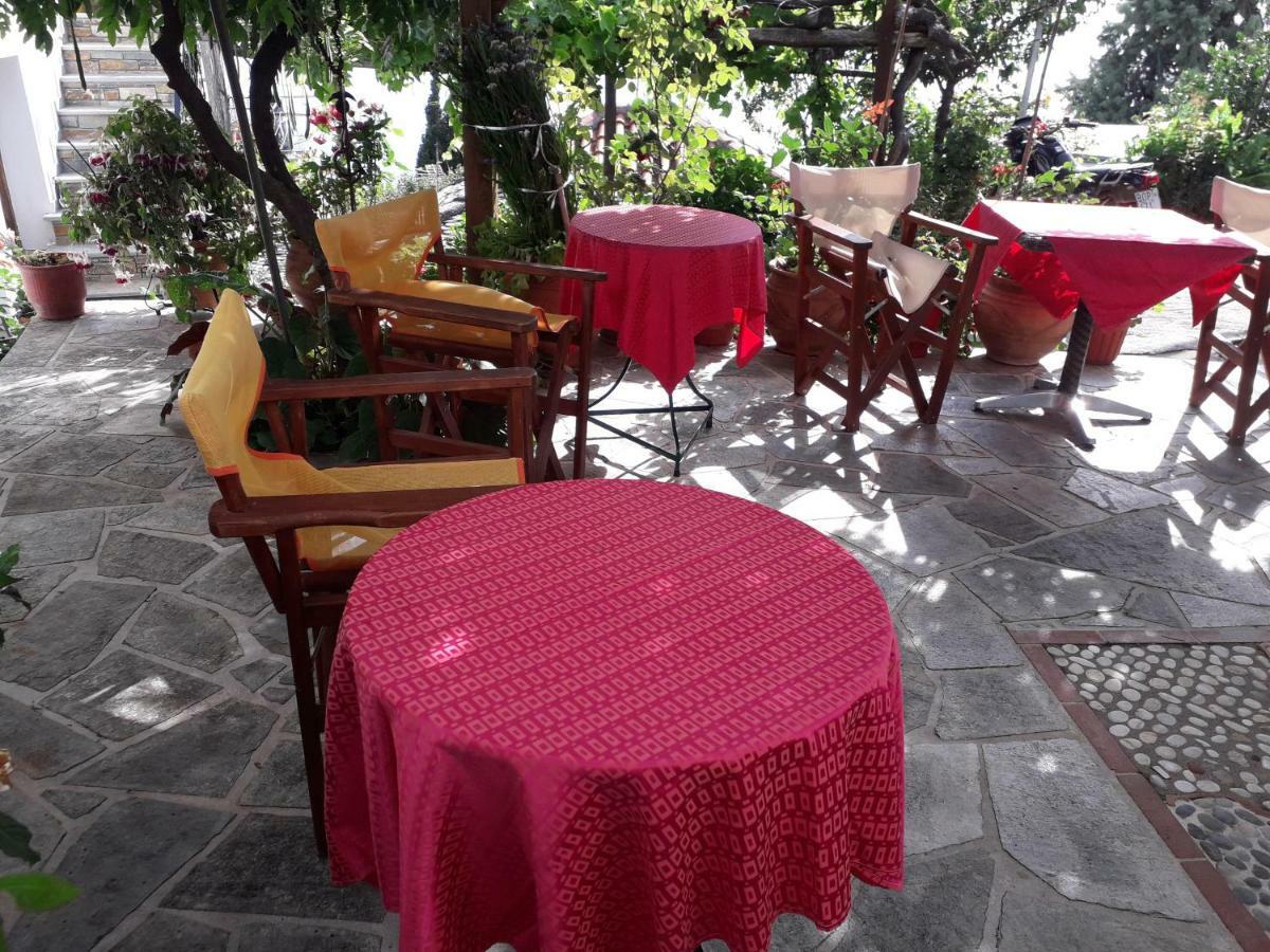 Vera'S Traditional House 자고라 외부 사진